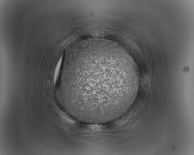 X0000097860233200803281319