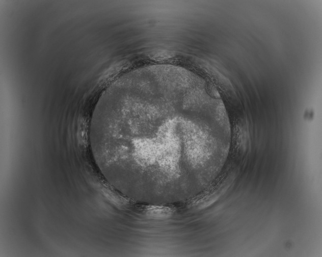 X0000097860234200803281319