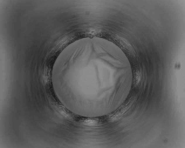 X0000097860236200803281319