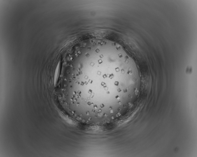 X0000097860237200803281319