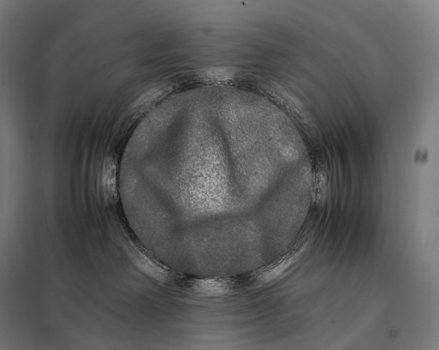 X0000097860238200803281319