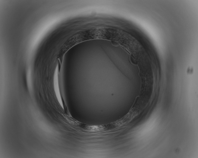 X0000097860239200803281318