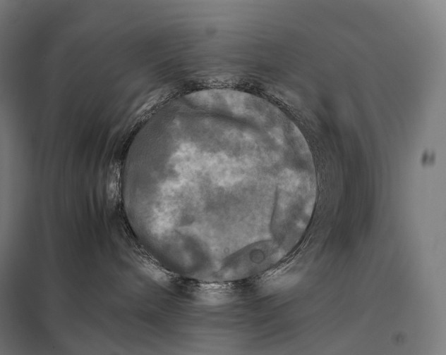 X0000097860240200803281318