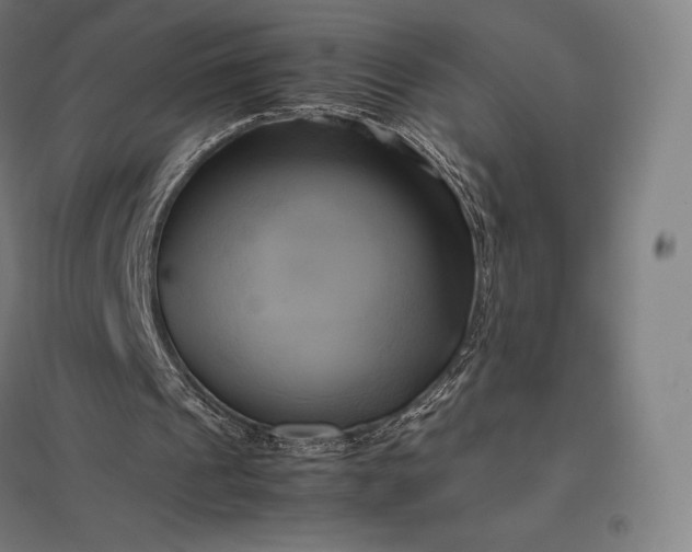 X0000097860241200803281318