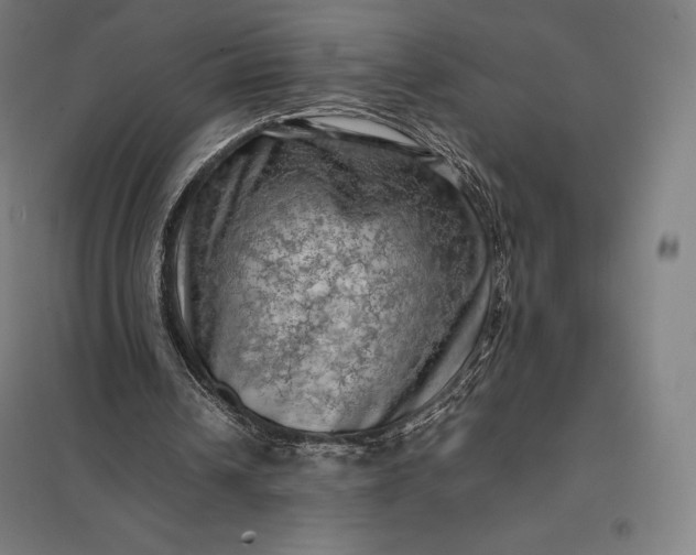 X0000097860242200803281318