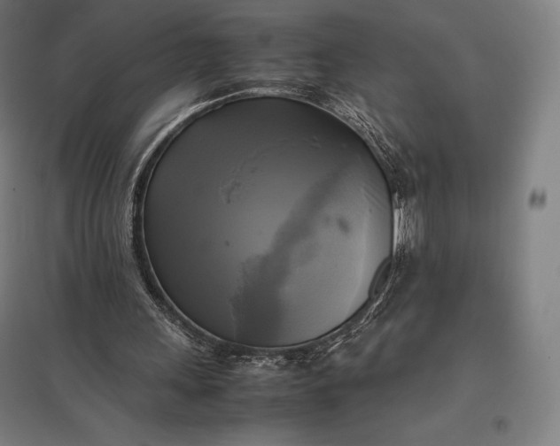 X0000097860243200803281318