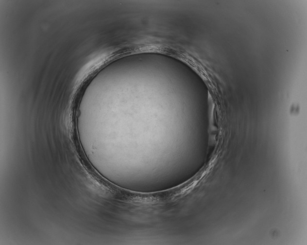 X0000097860245200803281318