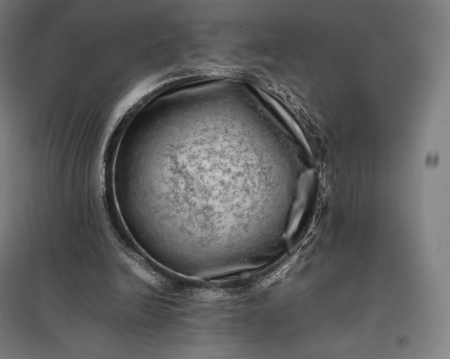 X0000097860246200803281318