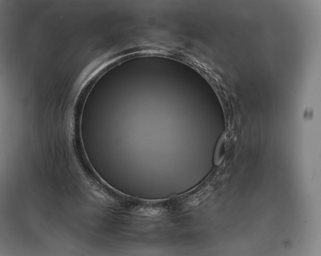 X0000097860247200803281318