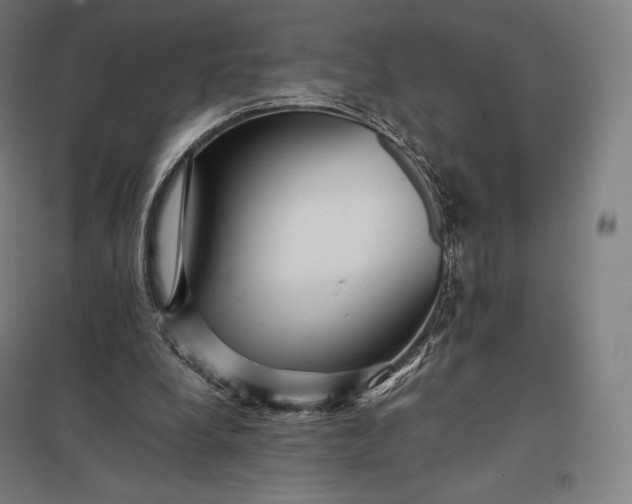 X0000097860248200803281318