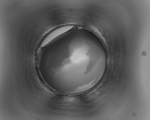 X0000097860249200803281318