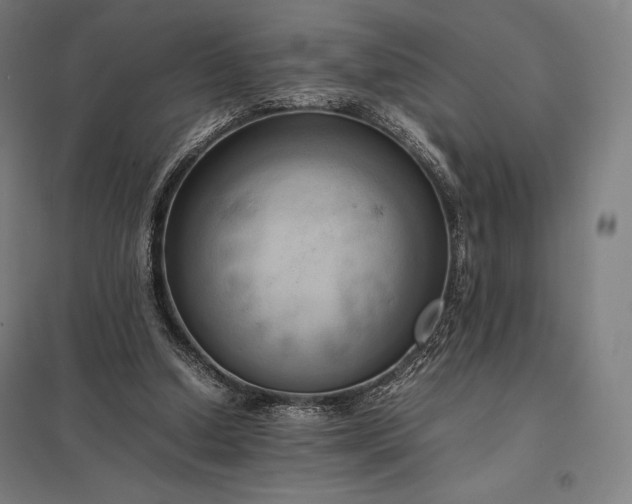 X0000097860250200803281318