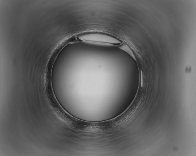 X0000097860252200803281318