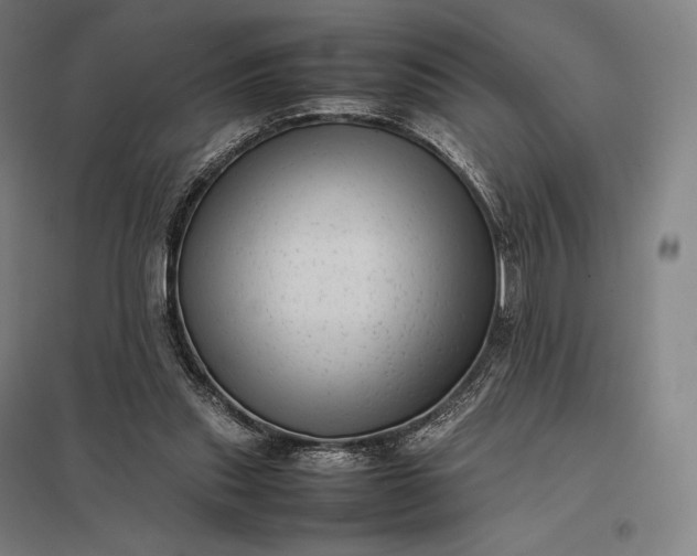 X0000097860253200803281318