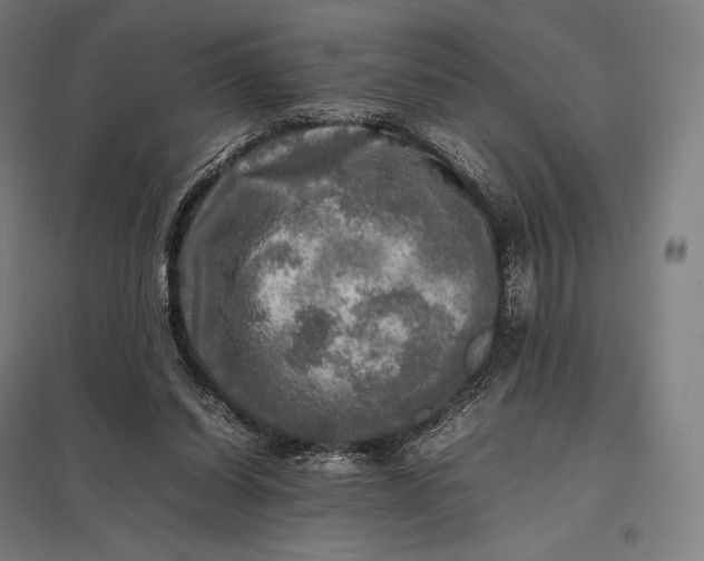 X0000097860254200803281318