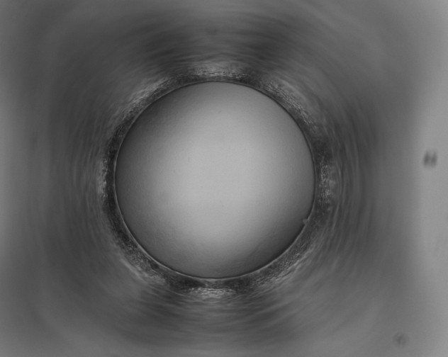 X0000097860255200803281318