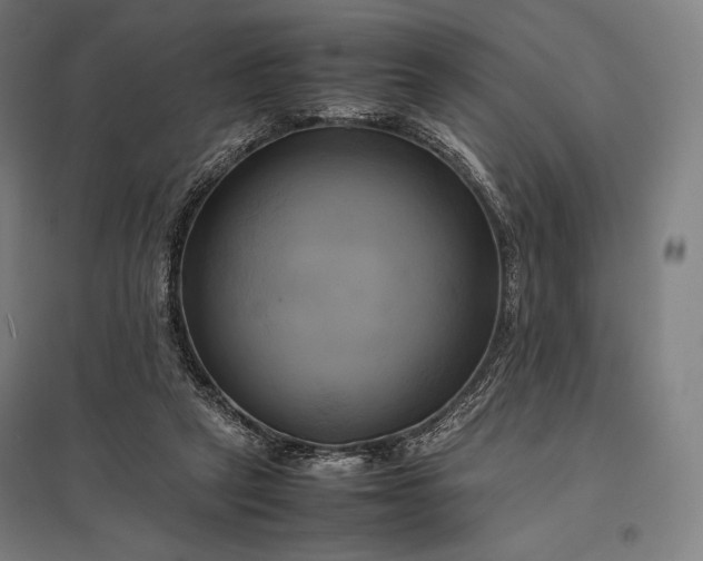 X0000097860257200803281318