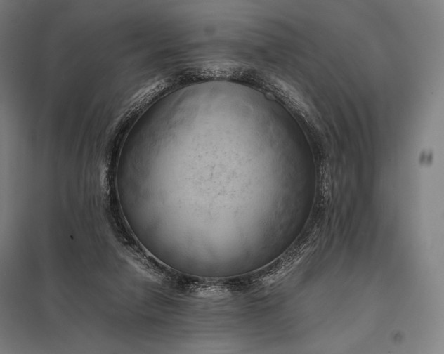 X0000097860258200803281318