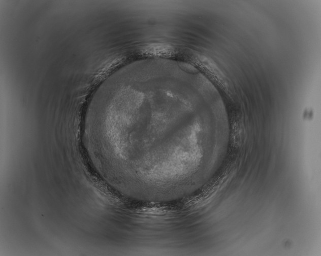 X0000097860259200803281318