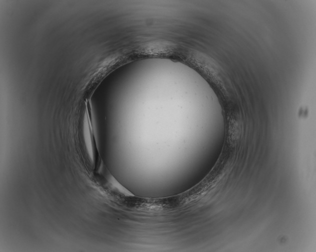 X0000097860260200803281318