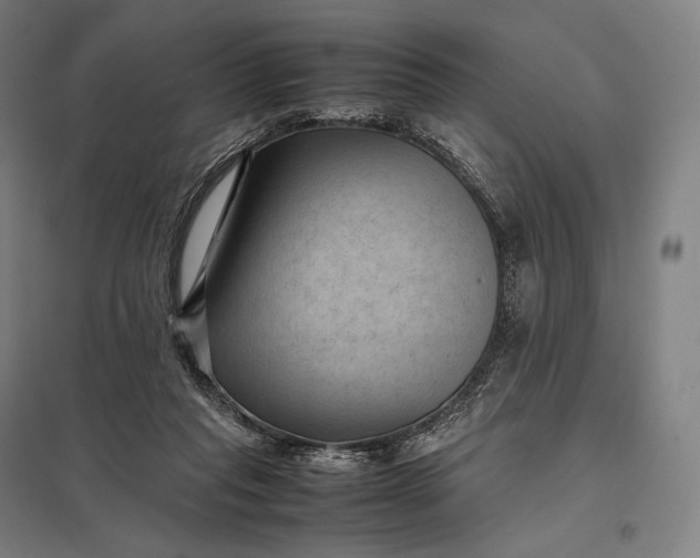 X0000097860261200803281318