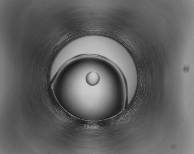 X0000097860262200803281318