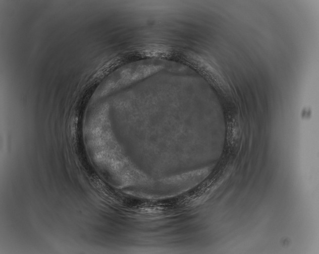 X0000097860263200803281318