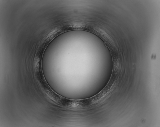 X0000097860264200803281318