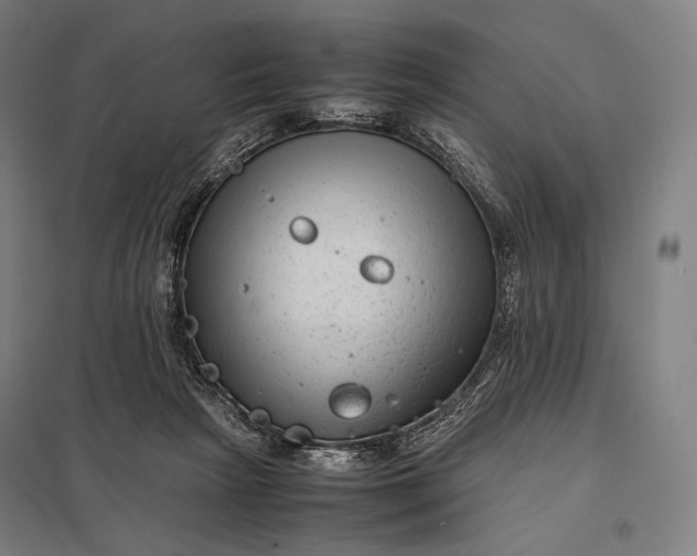 X0000097860265200803281318