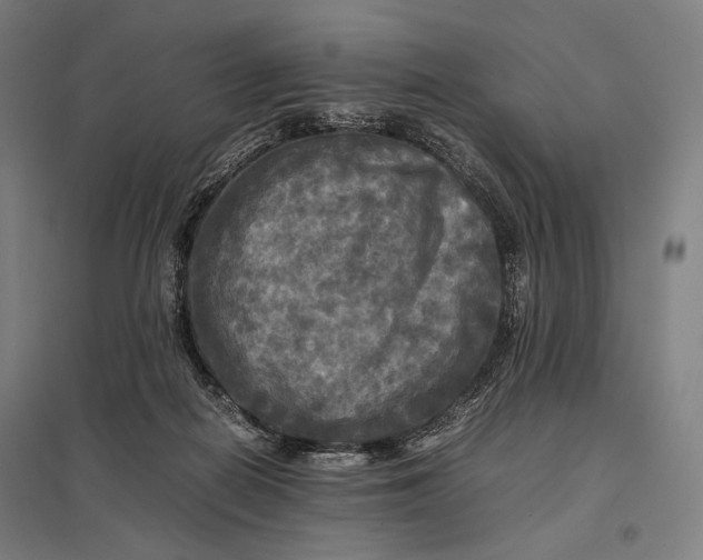 X0000097860266200803281318