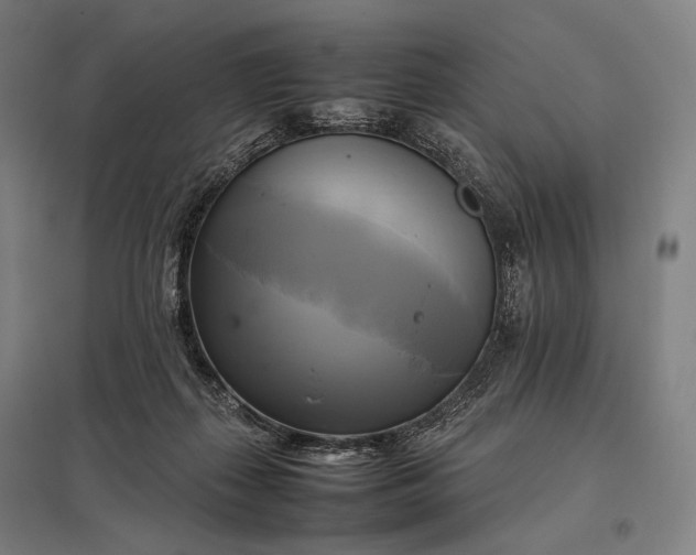 X0000097860267200803281318