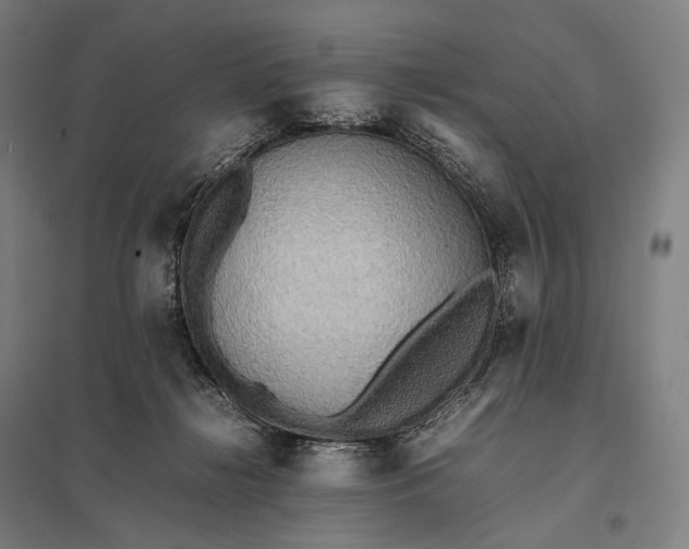 X0000097860268200803281318