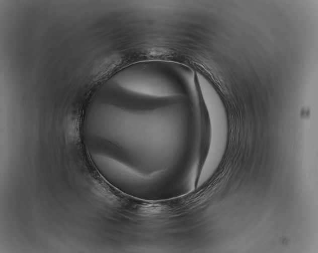 X0000097860269200803281318