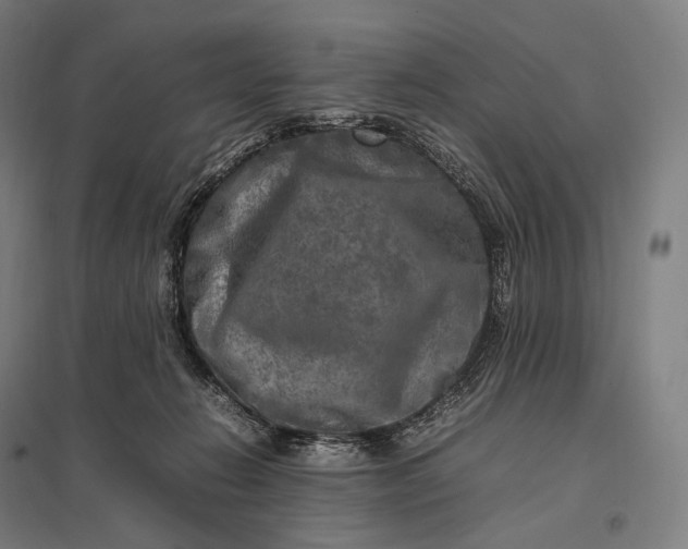 X0000097860270200803281318