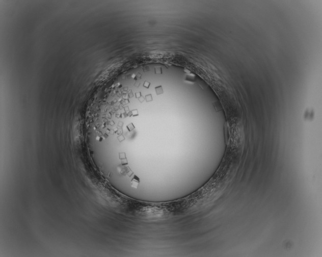 X0000097860272200803281318