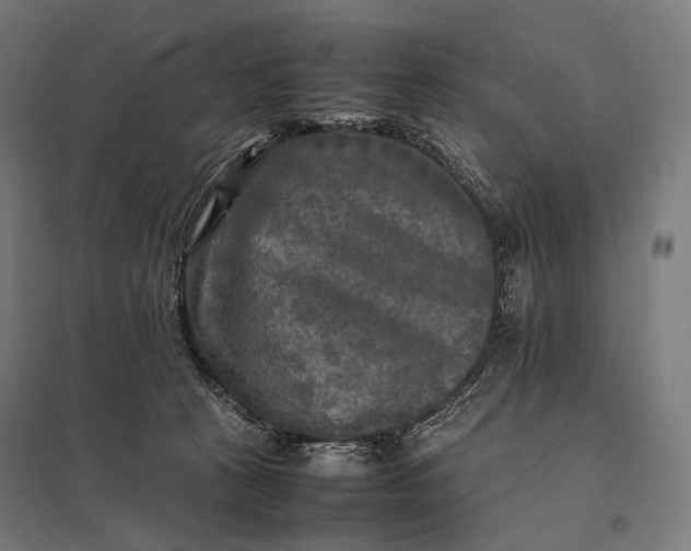 X0000097860273200803281318