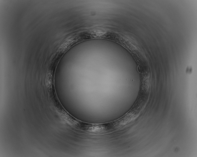 X0000097860274200803281318