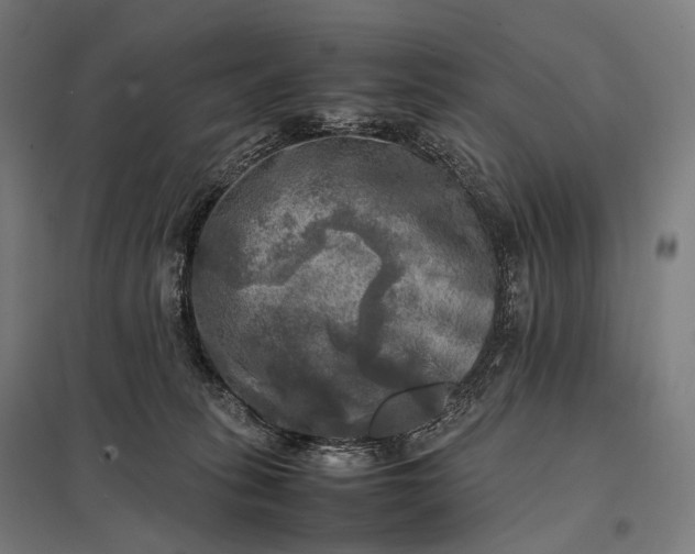 X0000097860275200803281318