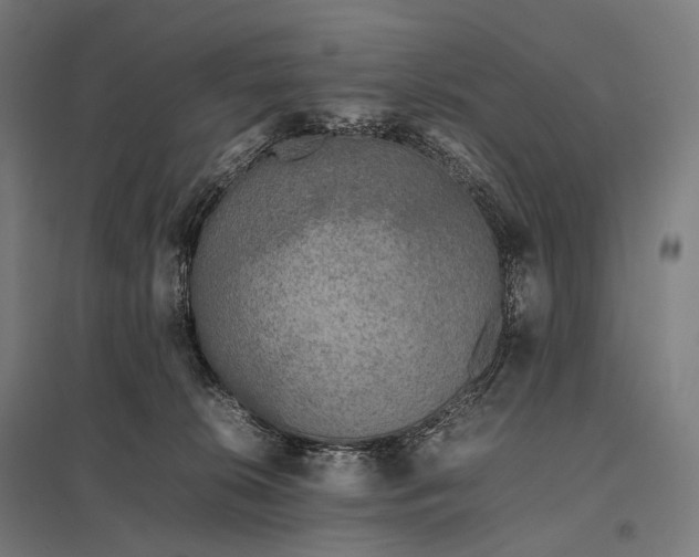 X0000097860276200803281318