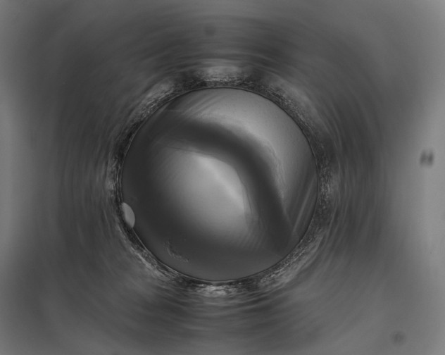 X0000097860277200803281318