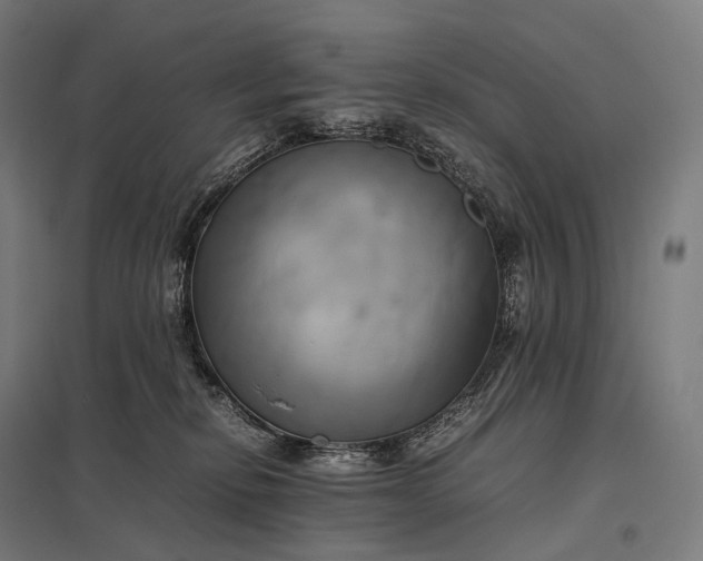 X0000097860278200803281318