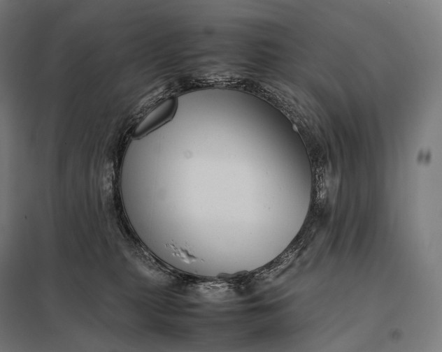 X0000097860279200803281318