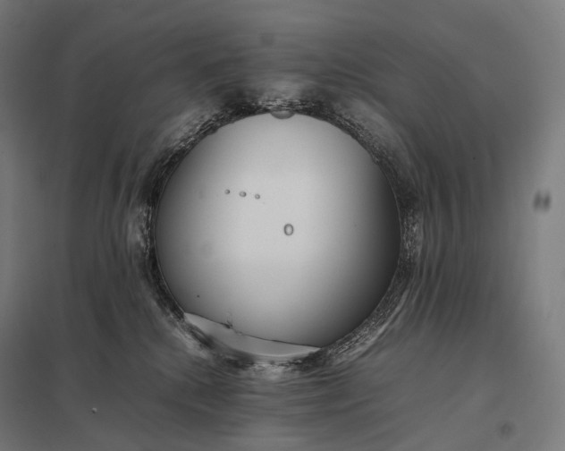 X0000097860280200803281318