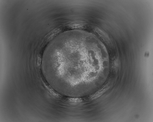 X0000097860281200803281318