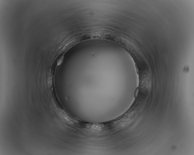 X0000097860282200803281318