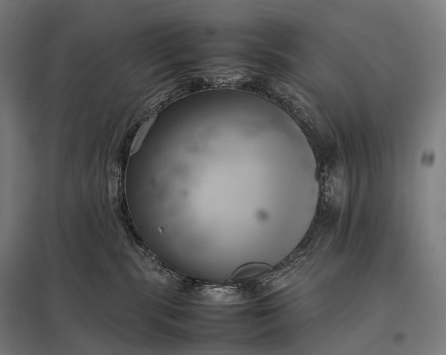 X0000097860283200803281318