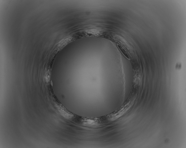 X0000097860285200803281318