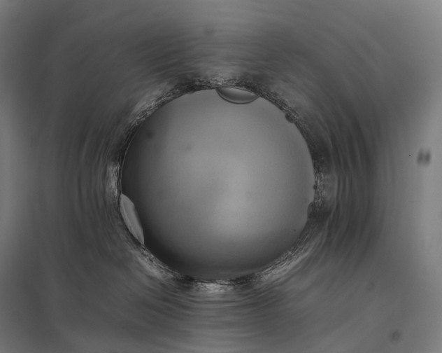 X0000097860286200803281318