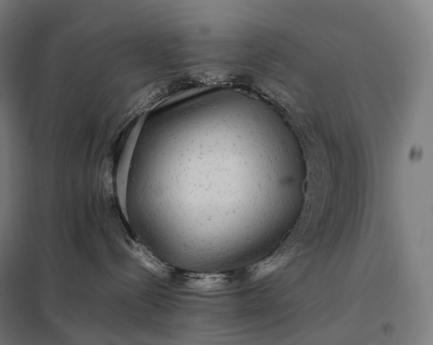 X0000097860288200803281318