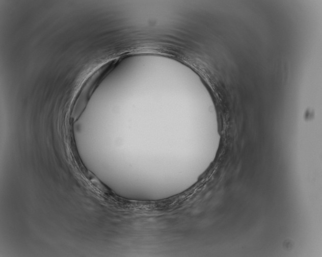 X0000097860289200803281318